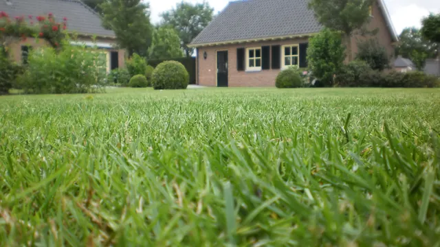 Gazon met op de achtergrond een woning met tuin