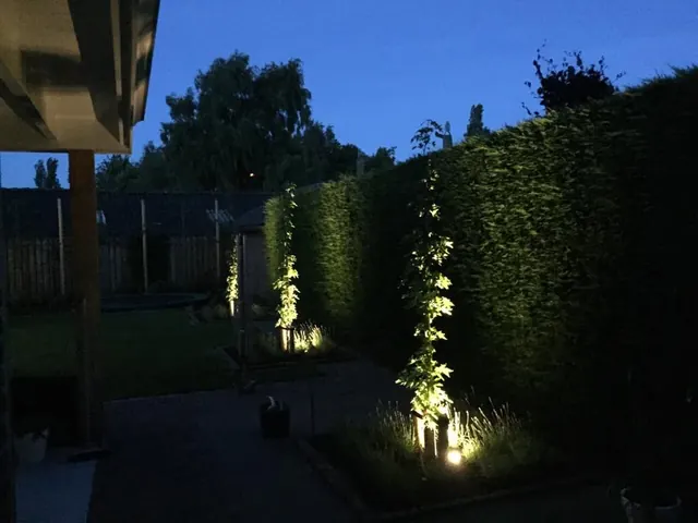Tuin in de avond met aangelichte haag en klimplant